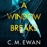 a-window-breaks-a-nerve-shredding-pulse-racing-thriller-with-real-heart-that-you-will-smash-your-way-through.jpg