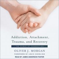 addiction-attachment-trauma-and-recovery-the-power-of-connection.jpg