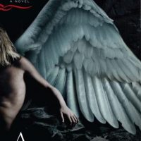 angelology-a-novel.jpg