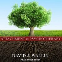 attachment-in-psychotherapy.jpg