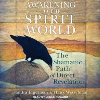 awakening-to-the-spirit-world-the-shamanic-path-of-direct-revelation.jpg