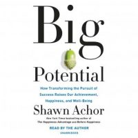 big-potential-how-transforming-the-pursuit-of-success-raises-our-achievement-happiness-and-well-being.jpg