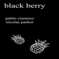 black-berry.jpg