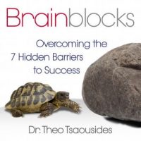 brainblocks-overcoming-the-7-hidden-barriers-to-success.jpg