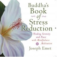 buddhas-book-stress-reduction-finding-serenity-and-peace-with-mindfulness-meditation.jpg