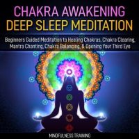 chakra-awakening-deep-sleep-meditation-beginners-guided-meditation-to-healing-chakras-chakra-clearing-mantra-chanting-chakra-balancing-opening-your-third-eye-new-age-affirmations-third-ey.jpg