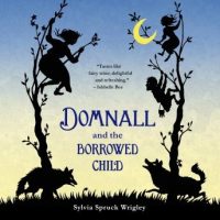 domnall-and-the-borrowed-child.jpg