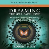 dreaming-the-soul-back-home-shamanic-dreaming-for-healing-and-becoming-whole.jpg