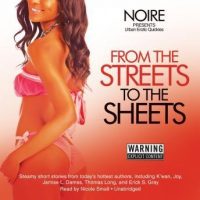 from-the-streets-to-the-sheets-urban-erotic-quickies.jpg