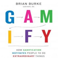 gamify-how-gamification-motivates-people-to-do-extraordinary-things.jpg