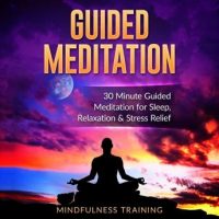 guided-meditation-30-minute-guided-meditation-for-sleep-relaxation-stress-relief-deep-sleep-self-hypnosis-positive-law-of-attraction-affirmations-overcome-anxiety-panic-attacks-techn.jpg