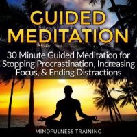 guided-meditation-30-minute-guided-meditation-for-stopping-procrastination-increasing-focus-ending-distractions-deep-sleep-self-hypnosis-law-of-attraction-affirmations-anxiety-stress.jpg