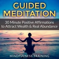 guided-meditation-30-minute-positive-affirmations-hypnosis-to-attract-wealth-real-abundance-law-of-attraction-deep-sleep-hypnosis-anxiety-stress-relief-relaxation-techniques.jpg