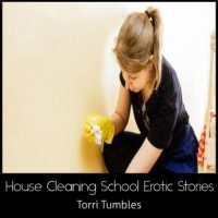 house-cleaning-school-erotic-stories.jpg