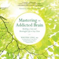 mastering-the-addicted-brain-building-a-sane-and-meaningful-life-to-stay-clean.jpg