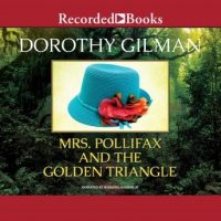 mrs-pollifax-and-the-golden-triangle.jpg