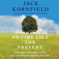 no-time-like-the-present-finding-freedom-love-and-joy-right-where-you-are.jpg