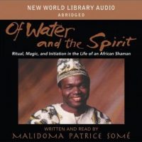 of-water-and-spirit-ritual-magic-and-initiation-in-the-life-of-an-african-shaman.jpg