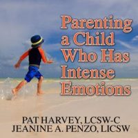 parenting-a-child-who-has-intense-emotions-dialectical-behavior-therapy-skills-to-help-your-child-regulate-emotional-outbursts-and-aggressive-behaviors.jpg