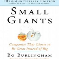 small-giants-companies-that-choose-to-be-great-instead-of-big-10th-anniversary-edition.jpg