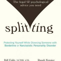 splitting-protecting-yourself-while-divorcing-someone-with-borderline-or-narcissistic-personality-disorder.jpg