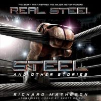 steel-and-other-stories.jpg