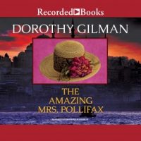 the-amazing-mrs-pollifax.jpg