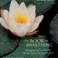 the-book-of-awakening-having-the-life-you-want-by-being-present-to-the-life-you-have.jpg