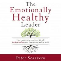 the-emotionally-healthy-leader-how-transforming-your-inner-life-will-deeply-transform-your-church-team-and-the-world.jpg