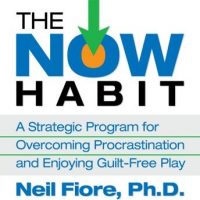 the-now-habit-a-strategic-program-for-overcoming-procrastination-and-enjoying-guilt-free-play.jpg