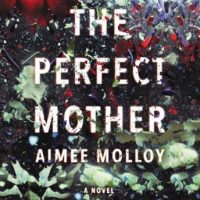 the-perfect-mother-a-novel.jpg