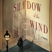 the-shadow-of-the-wind.jpg