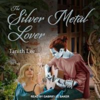 the-silver-metal-lover.jpg