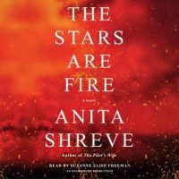 the-stars-are-fire-a-novel.jpg