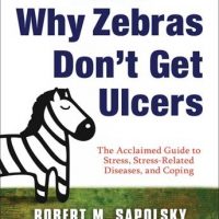 why-zebras-dont-get-ulcers.jpg