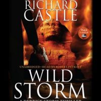 wild-storm-a-derrick-storm-thriller.jpg