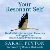 your-resonant-self-guided-meditations-and-exercises-to-engage-your-brains-capacity-for-healing.jpg